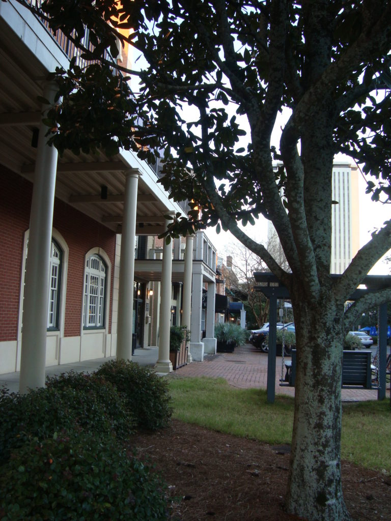 Vacation with baby in Tallahassee