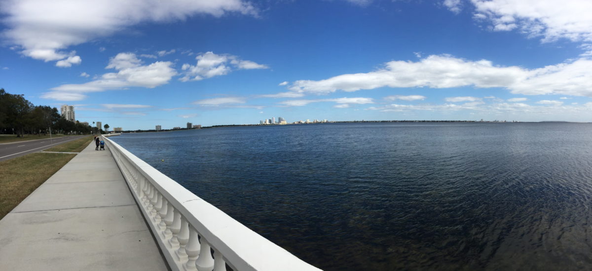 Vacation with baby in Tampa