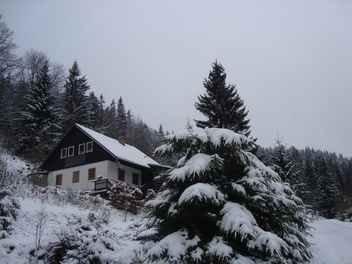 Traditional Christmas dinner in Czech Republic