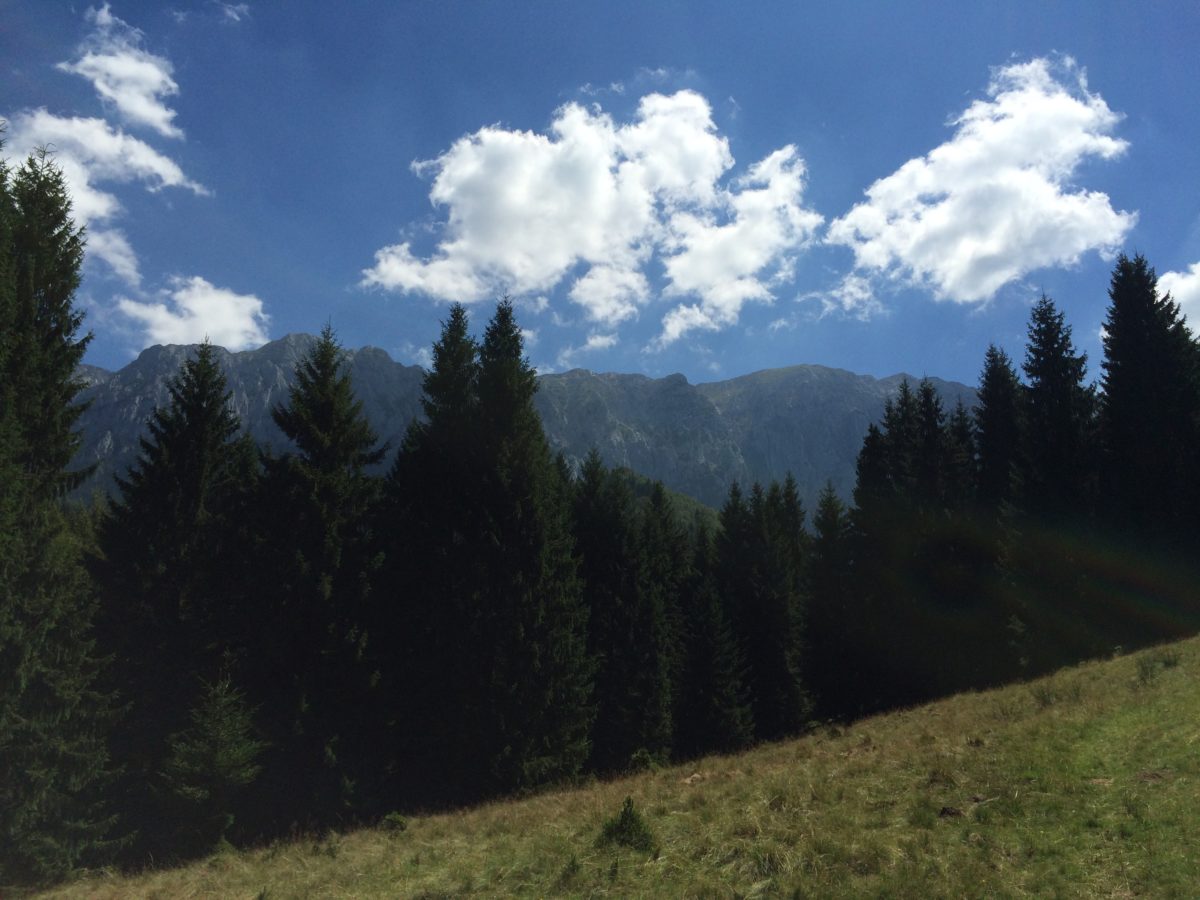 Hiking in Piatra Craiului, enjoying the nature