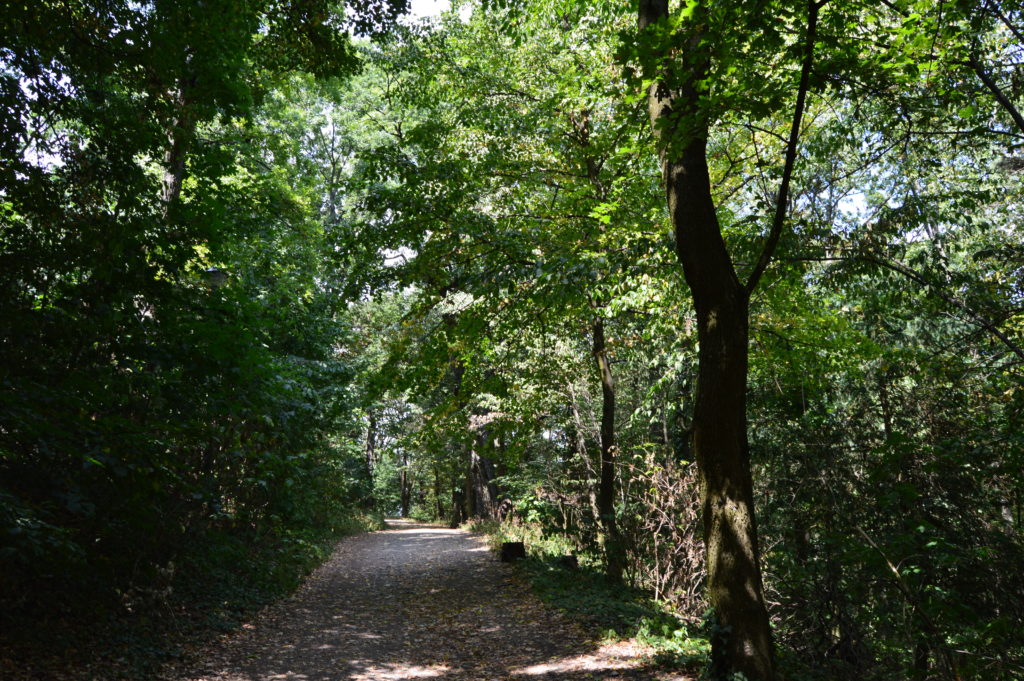The walk to Smolenicky Hrad
