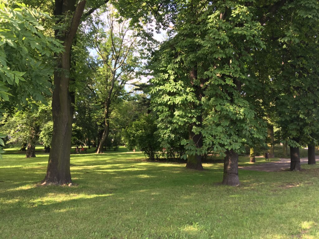 Lodz day trip