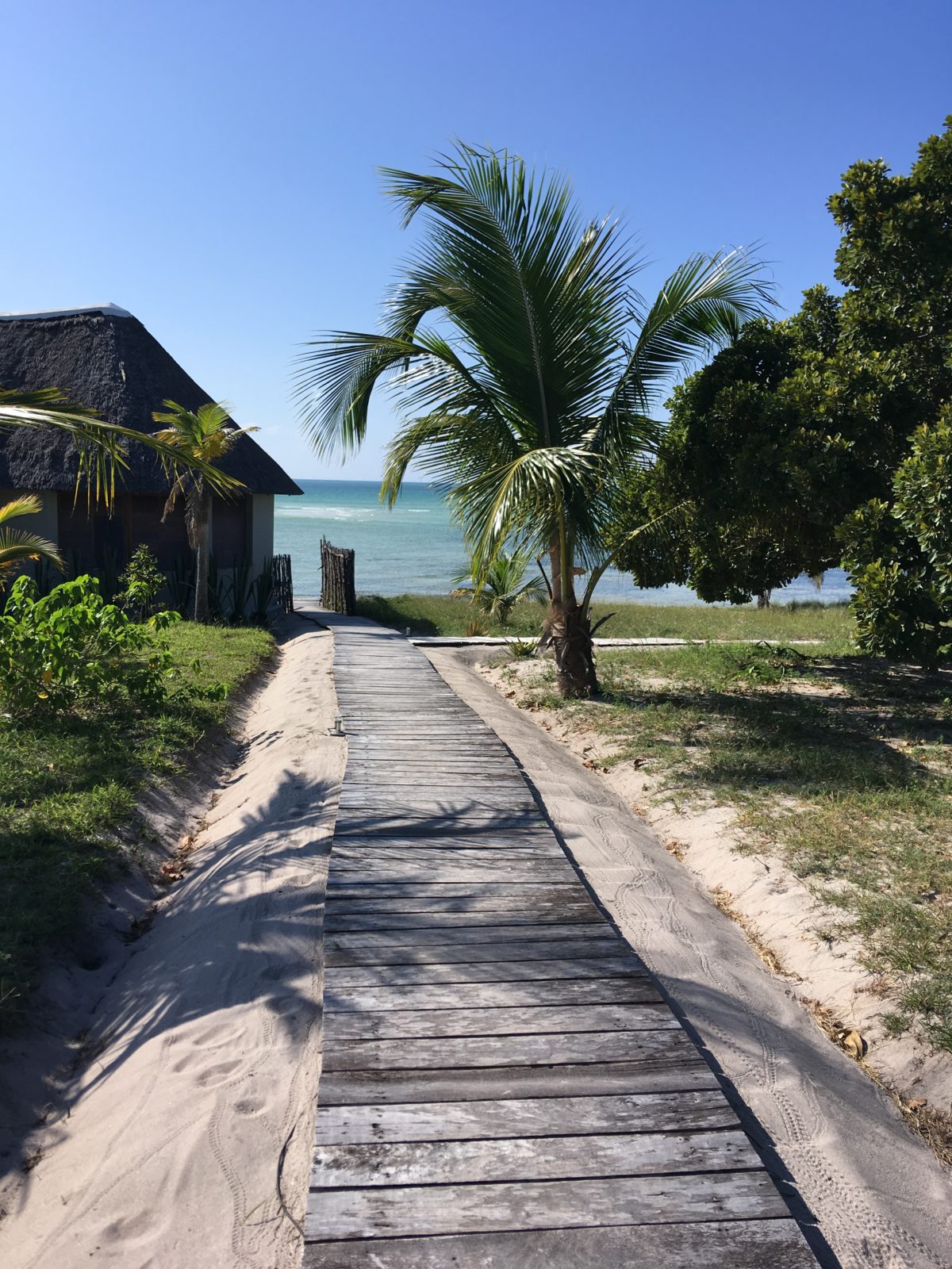 Dream vacation in Mozambique